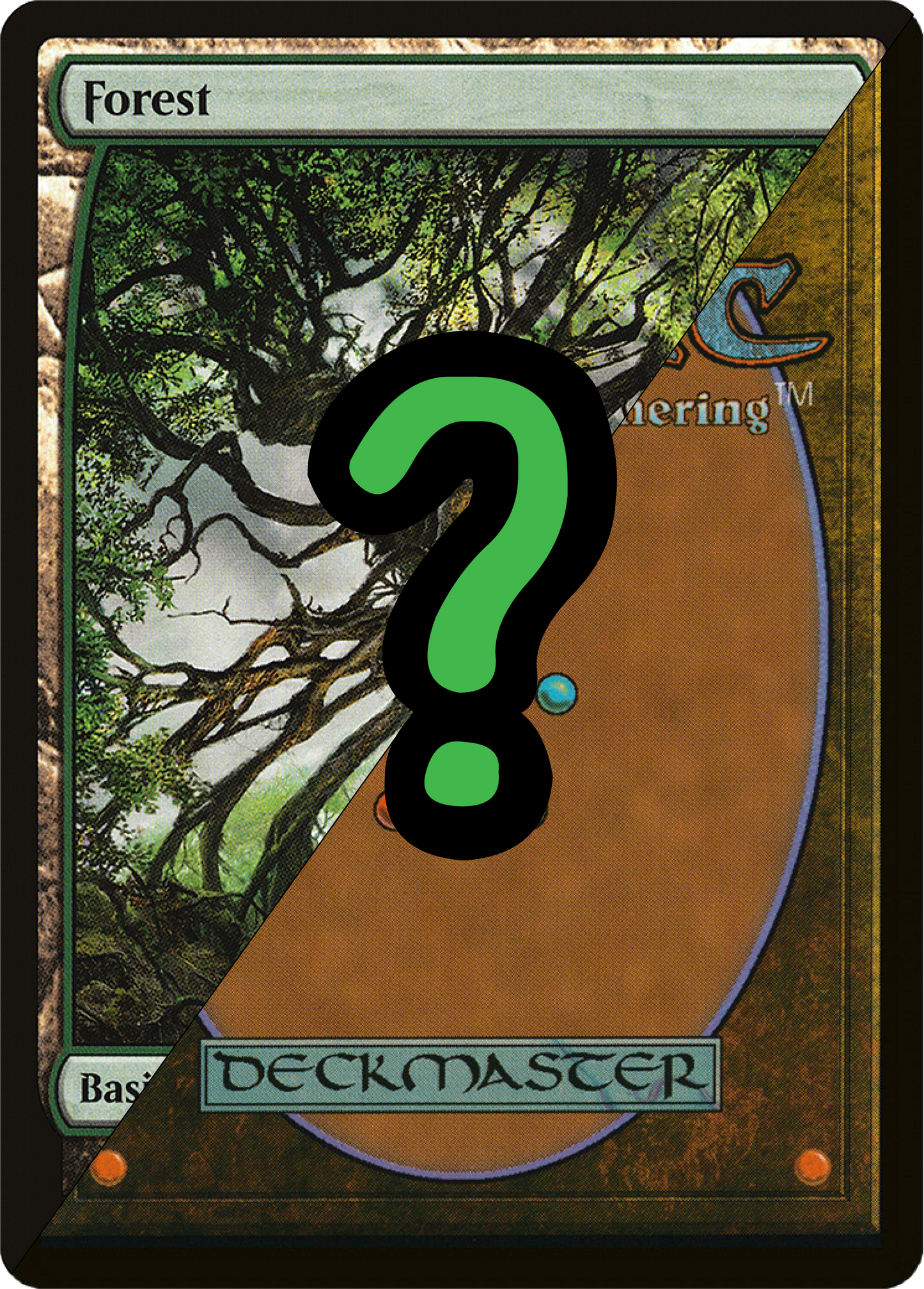 x10 Full Art Forests