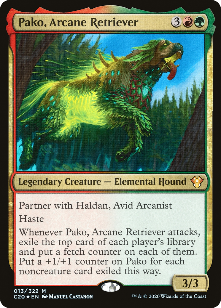 Pako, Arcane Retriever [C20-013]